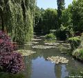 Jardins de Claude Monet14