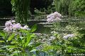 Jardins de Claude Monet18