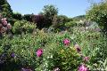 Jardins de Claude Monet20