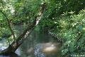 Jardins de Claude Monet23