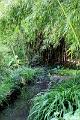 Jardins de Claude Monet3