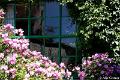 Jardins de Claude Monet30