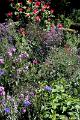 Jardins de Claude Monet32