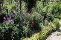 Jardins de Claude Monet33