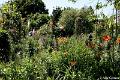 Jardins de Claude Monet34