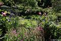 Jardins de Claude Monet36