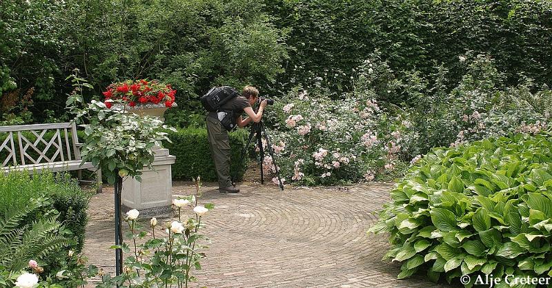 Kasteeltuin Arcen10.JPG