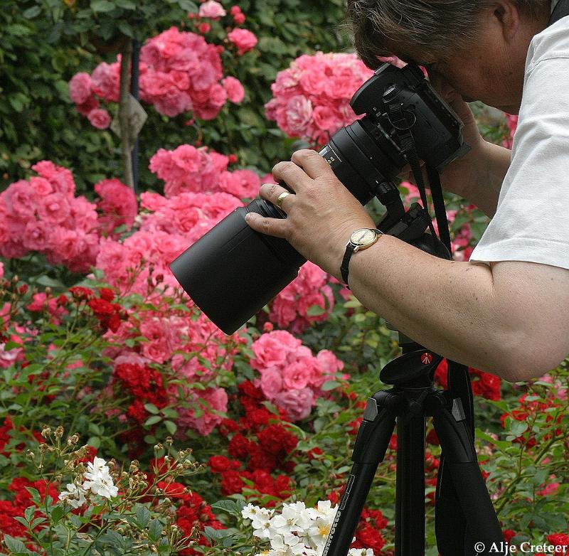 Kasteeltuin Arcen9.JPG