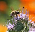 macro met ruis1