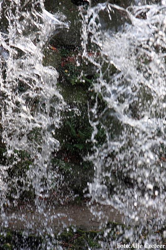 water18.JPG