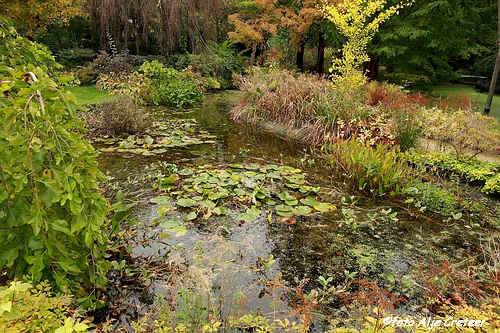 Herfst in Arcen12.JPG