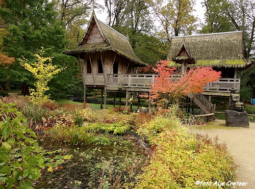 Herfst in Arcen13.JPG