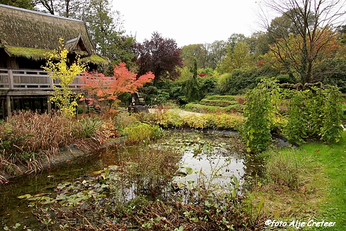 Herfst in Arcen23.JPG