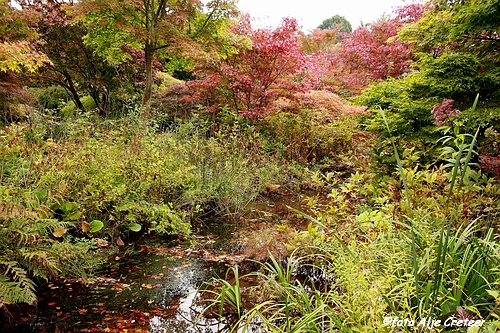 Herfst in Arcen28.JPG