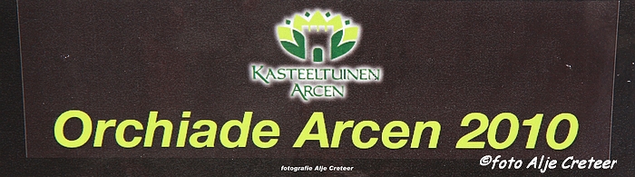 Arcen Nov.20101.JPG