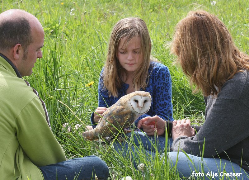 Vogels6.JPG