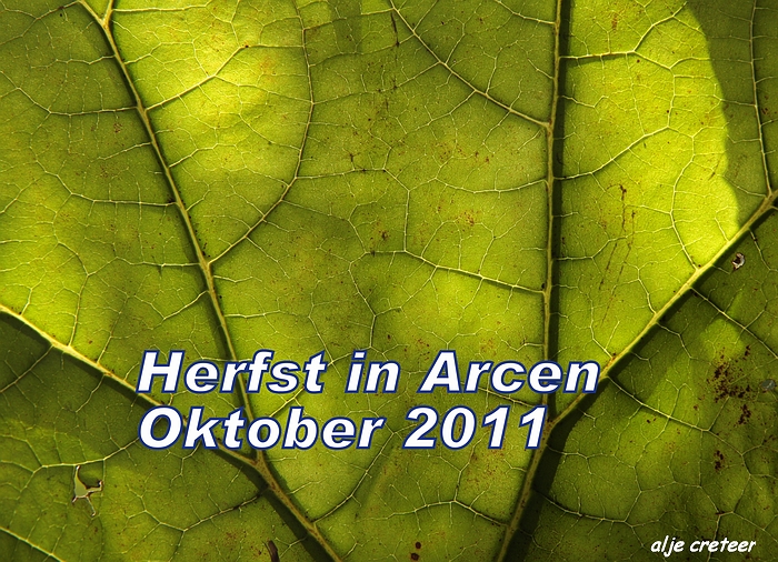 Herfst Arcen 2011 01-1.JPG