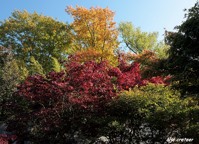 Herfst Arcen 2011 05-1.JPG