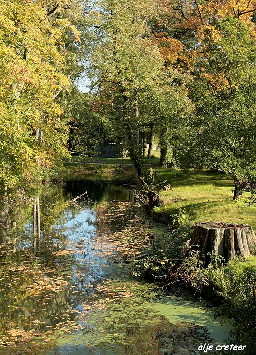Herfst Arcen 2011 57-.JPG