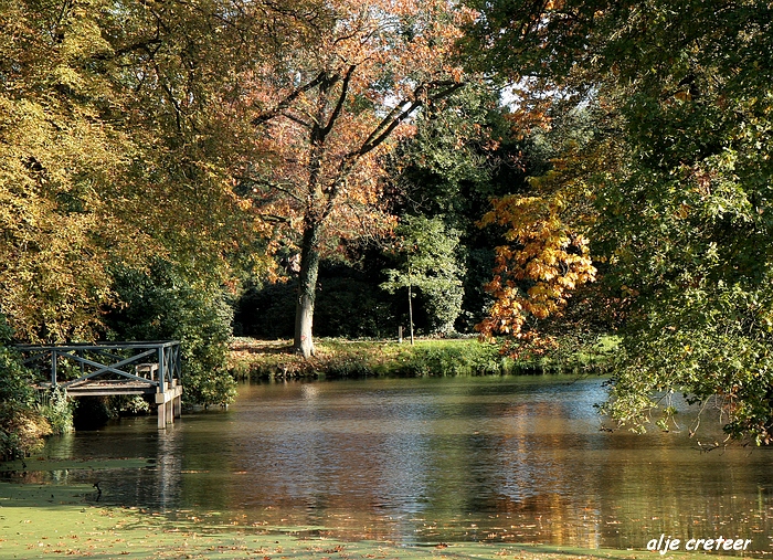 Herfst Arcen 2011 58-.JPG