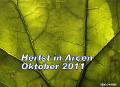 Herfst Arcen 2011 01-1