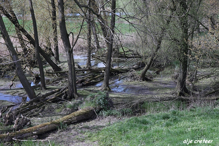 Linge en Lek route10.JPG