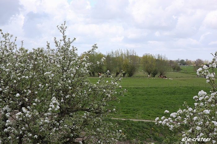 Linge en Lek route13.JPG