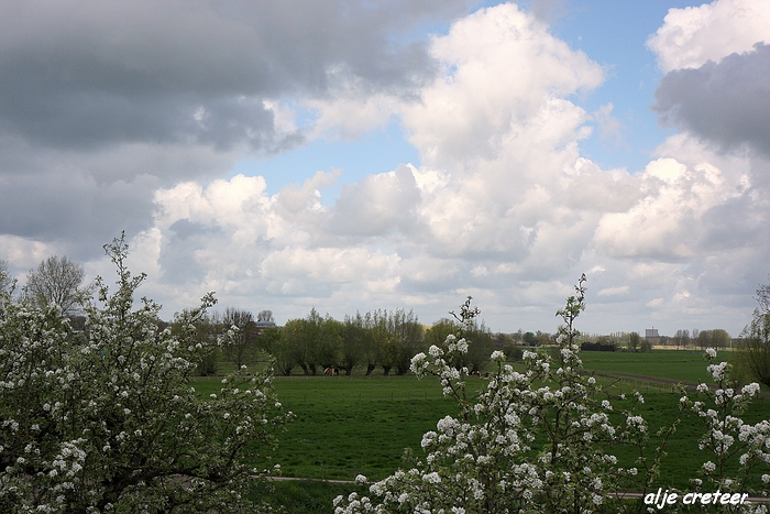 Linge en Lek route14.JPG