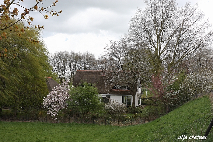 Linge en Lek route19.JPG