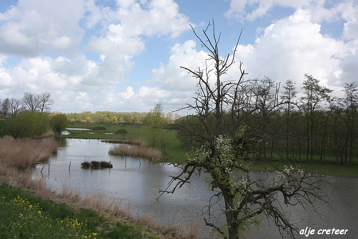 Linge en Lek route21.JPG