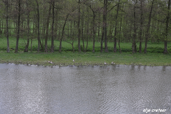 Linge en Lek route28.JPG