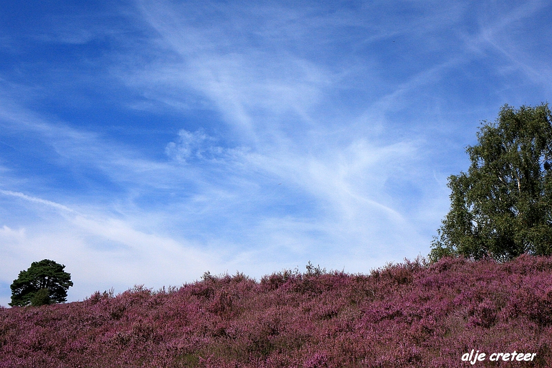 22.JPG - Veluwe zoom Posbank