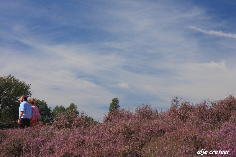 9.JPG - Veluwe zoom Posbank