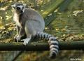 Dierenpark Overloon25