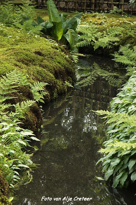 Japanse Tuin13.JPG