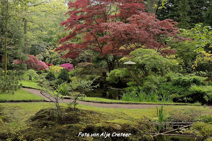 Japanse Tuin19.JPG