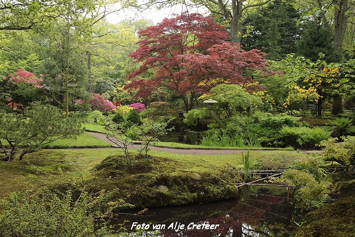 Japanse Tuin20.JPG