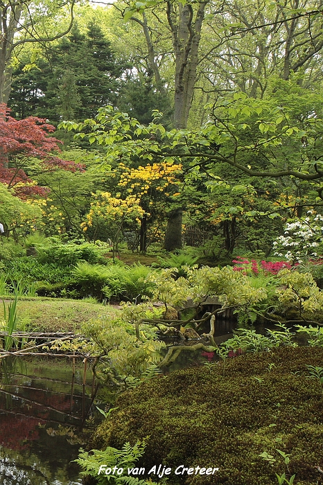 Japanse Tuin23.JPG