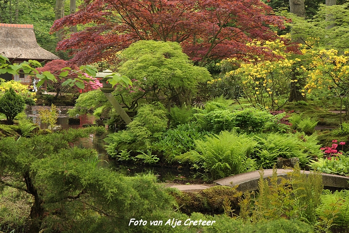 Japanse Tuin24.JPG