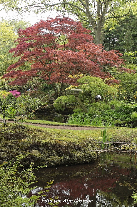 Japanse Tuin25.JPG