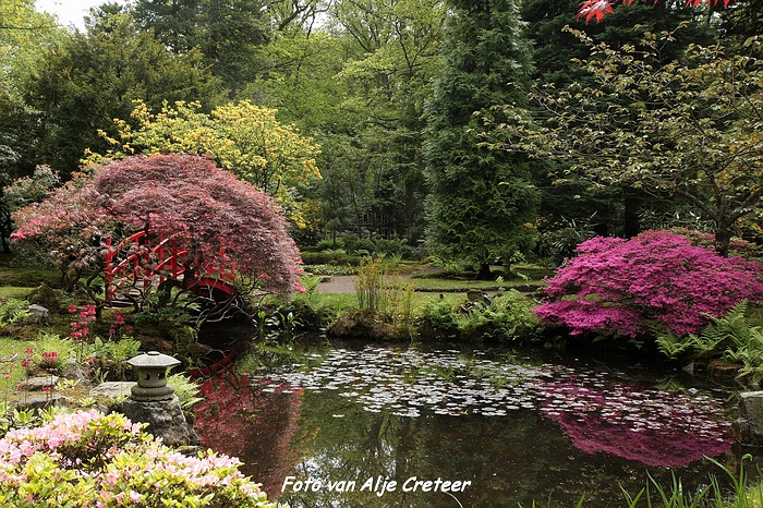 Japanse Tuin32.JPG