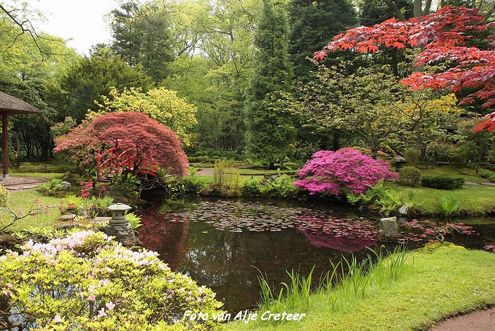 Japanse Tuin33.JPG