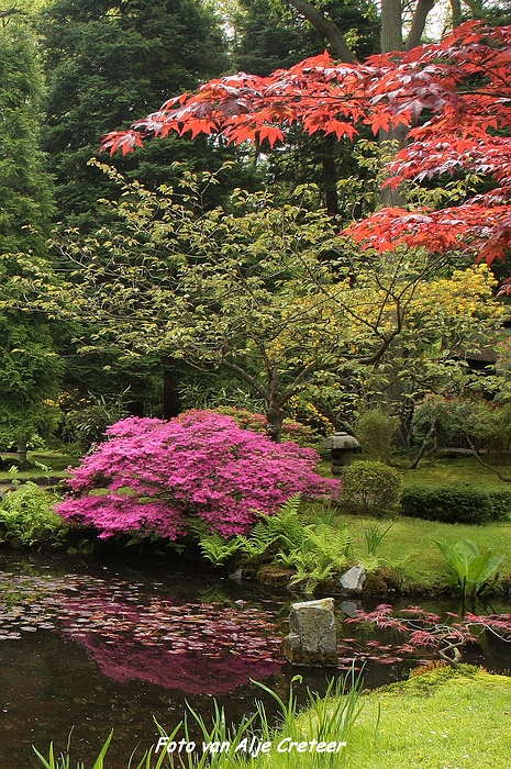 Japanse Tuin34.JPG