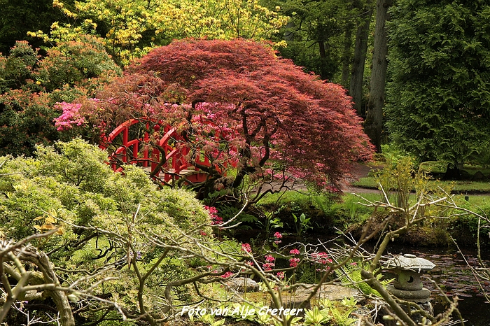 Japanse Tuin43.JPG