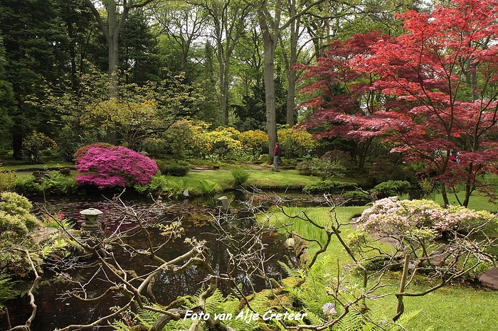 Japanse Tuin44.JPG