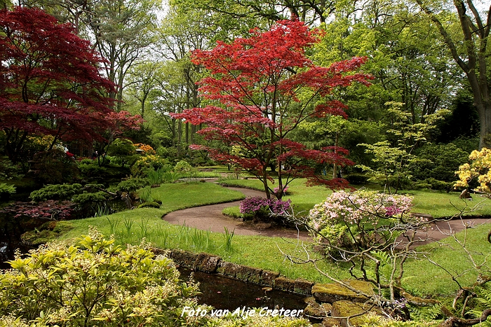 Japanse Tuin45.JPG