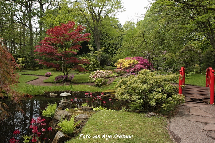 Japanse Tuin47.JPG