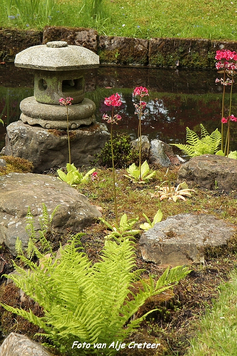 Japanse Tuin49.JPG