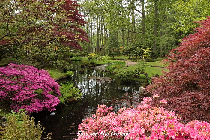 Japanse Tuin50.JPG