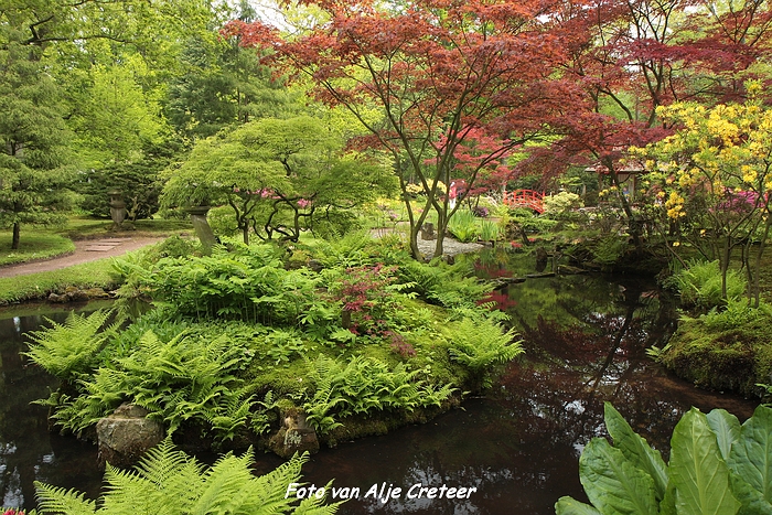 Japanse Tuin65.JPG